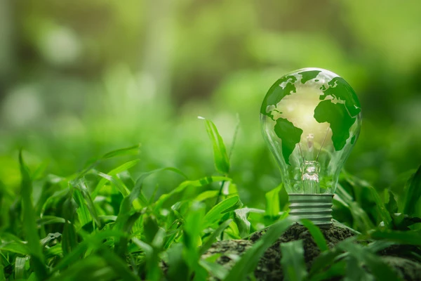 Sustainability